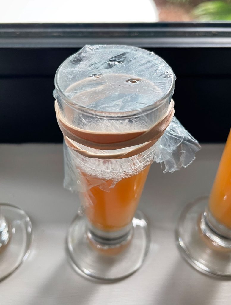 DIY Fruit Fly Trap With Apple Cider Vinegar And Plastic