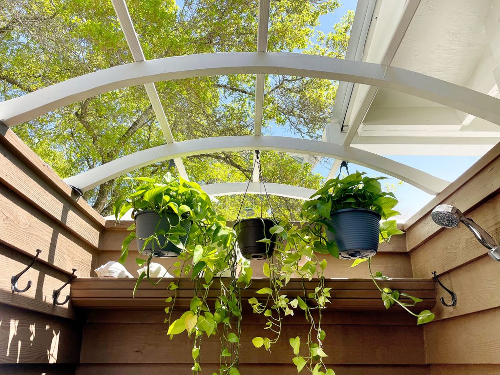 View Of Tree Through Open Top Of Outdoor Shower