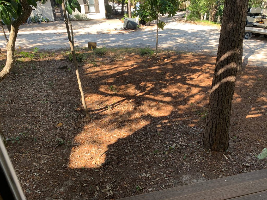 Firepit Area Before Fence